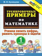 Математика. 1 класс. Учимся писать цифры. Тренировочные примеры. ФГОС новый.