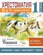 Литературное чтение. 1 класс. Хрестоматия. Ушинский. Бишка. Развиваем навык смыслового чтения.
