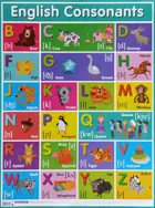 Английские согласные звуки = English Consonants.