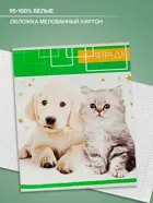 Тетрадь 48 листов, клетка, обложка мелованный картон, блок офсет, белизна 95-100%. Котята.