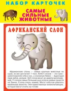 Самые сильные животные. (20 карточек с картонным клапаном). КАРТОЧКИ.