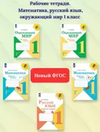 Плешаков. Моро. Набор рабочих тетрадей. 1 класс. Школа России. ФГОС Новый.