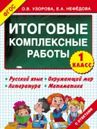 Русский язык. Матемактика. Окружающий мир. Литературное чтение. 1 класс. Итоговые комплексные работы.