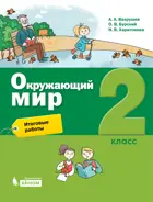 Окружающий мир. 2 класс.  Итоговые работы. 