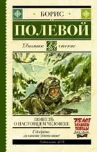 Повесть о настоящем человеке. Школьное чтение.