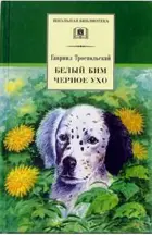 Белый Бим Черное ухо. Школьная библиотека.