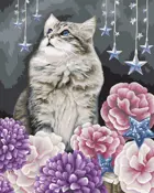 Картина по номерам на холсте 40х50 на подрамнике. "Мечтатель".