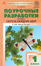 Окружающий мир. 1 класс. Поурочные разработки. Школа России. ФГОС. Новый